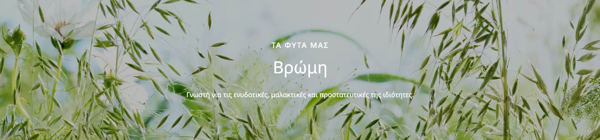 Klorane Avoine