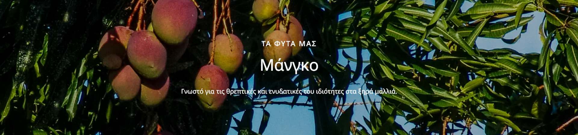 Klorane Mangue