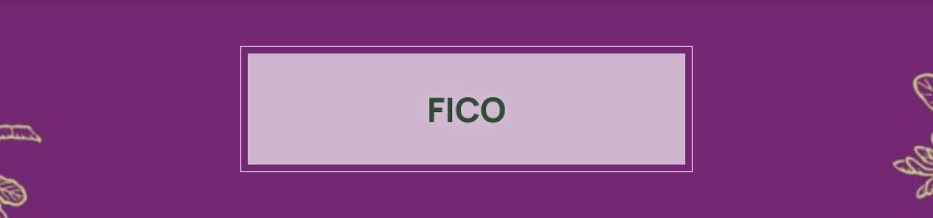 L'Erbolario Fico