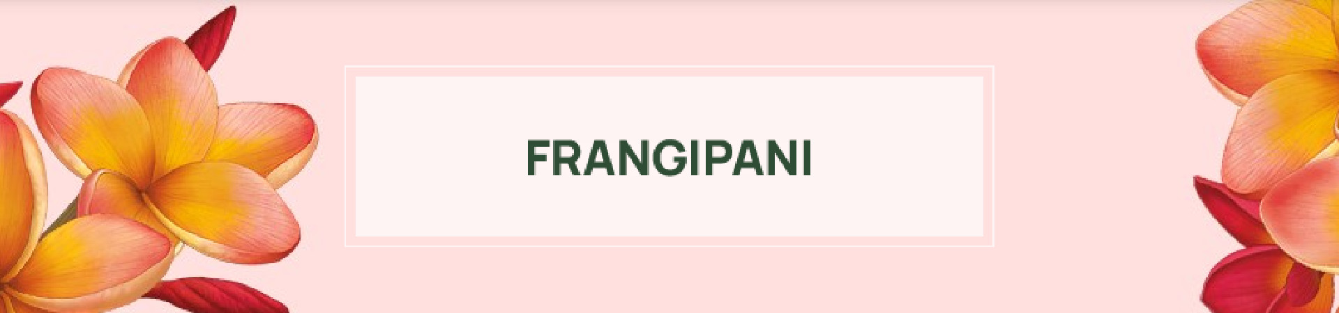 L'Erbolario Frangipani