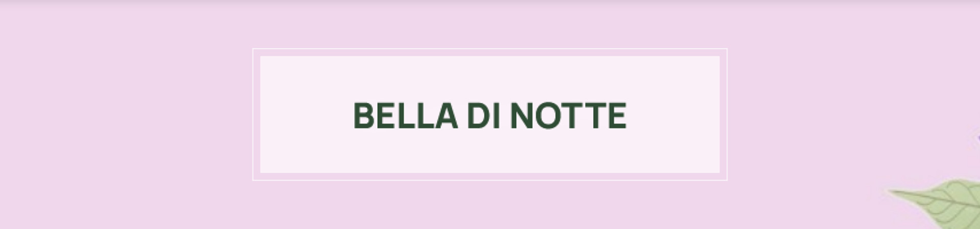L'Erbolario Bella di Notte