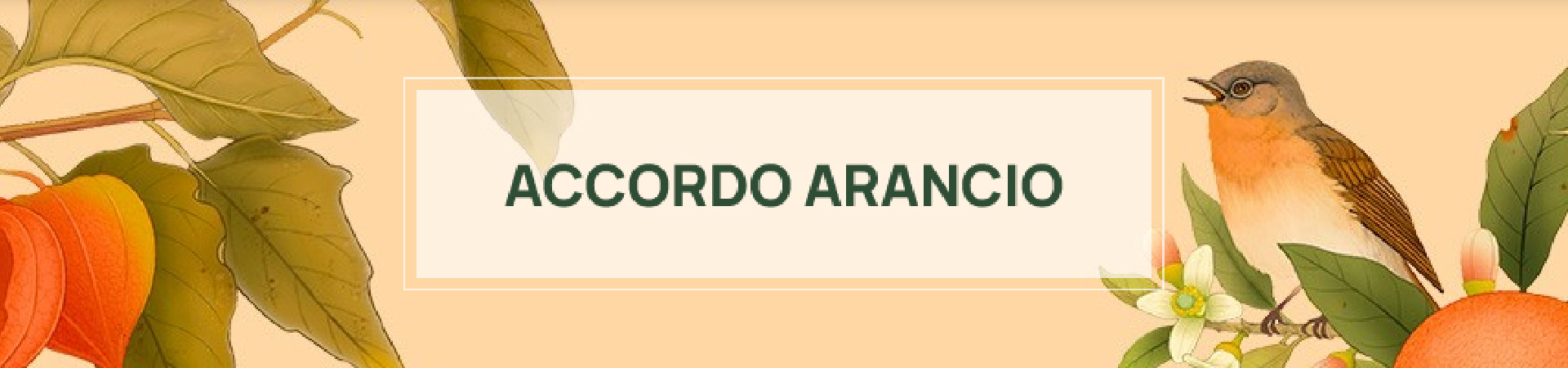 L'Erbolario Accordo Arancio