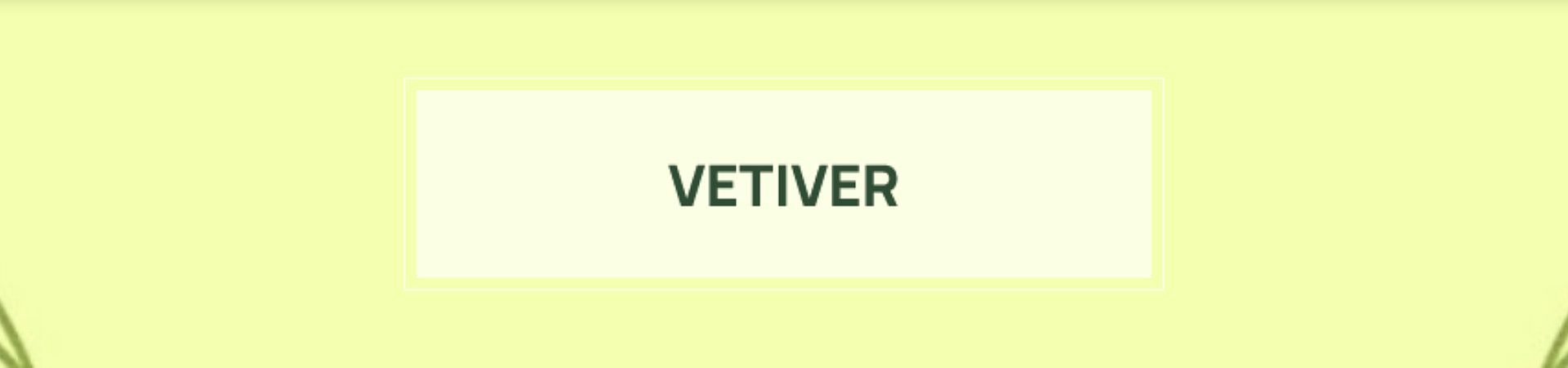 L'Erbolario Vetiver