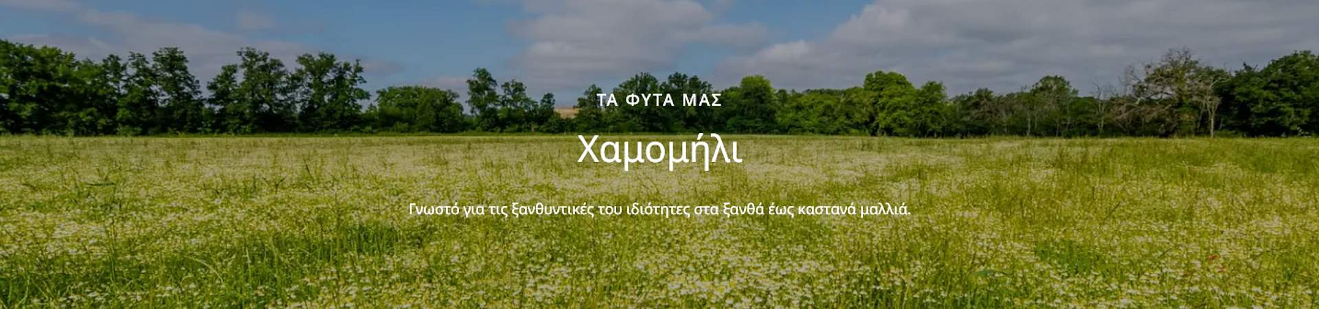 Klorane Camomille