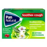 PanNatural Cough Pastilies γεύση Βατόμουρο 16 τεμάχια