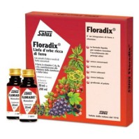 Salus Floradix Iron Liquid Formula 10x20ml
