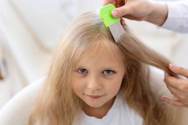 Τι είναι οι ψείρες: Μετάδοση, καταπολέμηση και πρόληψη